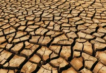 Limabelas Kecamatan di Purwakarta Alami Kekeringan saat Puncak Musim Kemarau