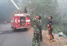 Satu Hektar Lahan Kebun Milik Watga Kalijati Subang Hangus Terbakar