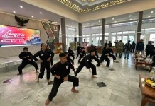 Pengembangan Olahraga Pencak Silat, Perlu Dukungan Kuat Paguron