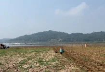Debit Air Waduk Cirata Surut Warga Cikalong Bercocok Tanam