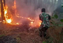 Dua Bulan Terakhir, Delapan Kejadian Karhutla di Wilayah Koramil 0503/Kalijati