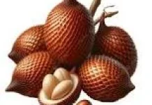 Manfaat Buah Salak untuk Kesehatan Tubuh