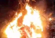 Sengaja Bakar Hutan di Subang Terancam 10 Tahun Penjara