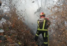 Kebakaran Lahan di Gunung Batu Cimahi, 400 Meter Persegi Kebun Terbakar