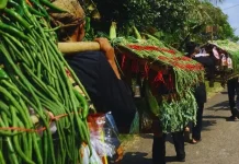 Ruwatan Bumi Kampung Adat Banceuy dan Tradisi Dongdang