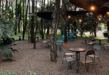 Teduh Kopi, Ruang Kuliner di Tengah Pinus Cinambo