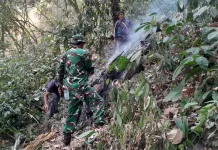 Kebakaran Hutan Landa Gunung Kujang Cijambe Subang, 1,5 Hektar Lahan Terbakar