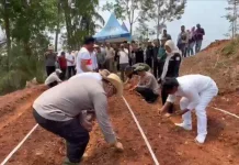 Perkuat Ketahanan Pangan, Kabupaten Ciamis Kembangkan Bawang Merah