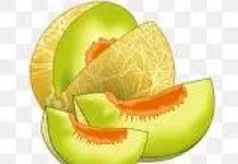 Manfaat Makan Melon untuk Kesehatan Tubuh