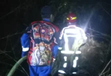 Kebakaran Kebun Bambu di Cimahi Utara Bikin Warga Panik