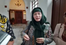 Menkes Soroti Angka Kematian Ibu di Jabar, Begini Kata Kadinkes