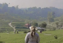 Indahnya Berwisata ke Cisema