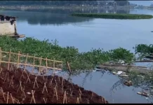 Air Waduk Cirata Menyusut Petani Ikan Merugi