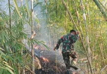 Pasca Kemarau Kebakaran Lahan dan Hutan di Garut Capai 1447 Persen