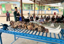 Ekspedisi Patriot Unpad Kuatkan Kemanusiaan di Fakfak