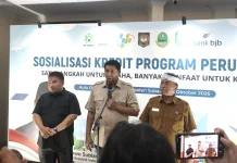 Disentil Bang Ara, Sekda Jabar Sampaikan Klarifikasi Permasalaha di Bank BJB