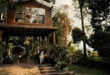 Black Bamboo, Menikmati Alam dan City Light Bandung