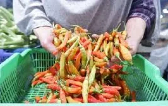 Cabai dan Bawang Terus Meroket jelang Ramadan