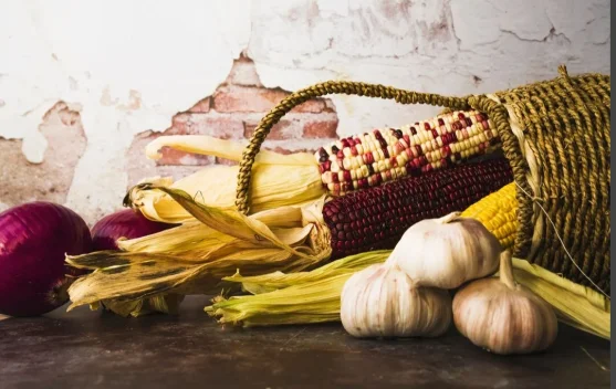 Panen Jagung dan Kesiapan Pangan jelang Lebaran