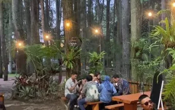 Wisata Tahura di Tempat Kopi Garung, Sensasi Ngopi di tengah Alam
