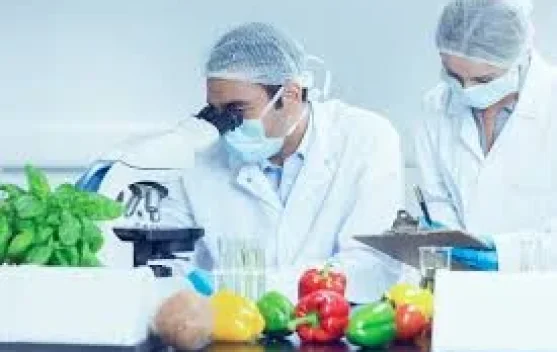 Teknik Pangan, Inovasi Pangan Lokal lewat “Feed You!”