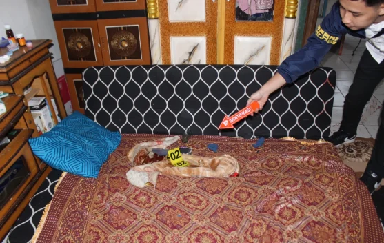 Kakak Bunuh Adik Kandung, Polisi : di Duga ODGJ