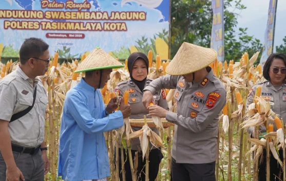 Panen Raya Jagung Serentak, Kapolresta Tasikmalaya: Dukung Swasembada Jagung