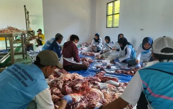 Sapi Kurban Presiden dan Bupati KBB Ramaikan Penyembelihan di RPH ...