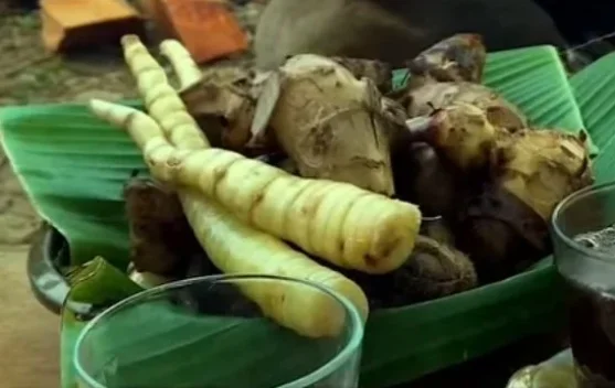 Menemukan Kembali Ganyong, Umbi Langka Kaya Manfaat