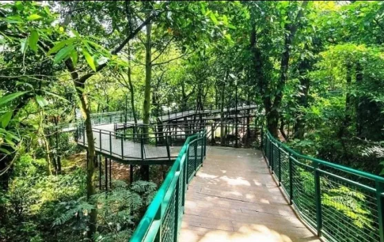 Pilihan Wisata Gratis di Bandung, Cocok untuk Healing Hemat