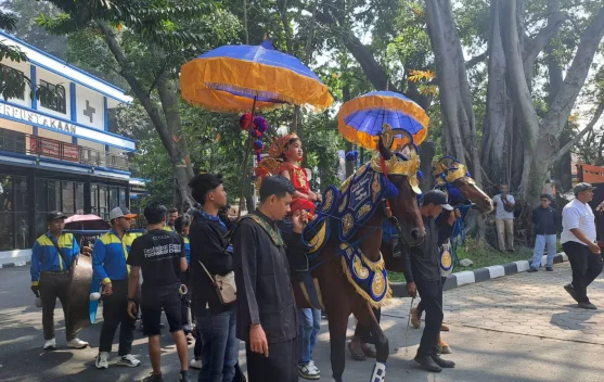 Kuda Renggong, Sejarah hingga Nilai Budaya