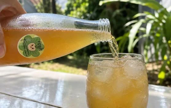 Generasi Muda Memilih Kombucha untuk Bisnis Minuman Sehat
