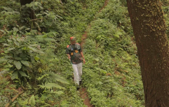 Manfaat Mengikuti Aktivitas Silent Hiking