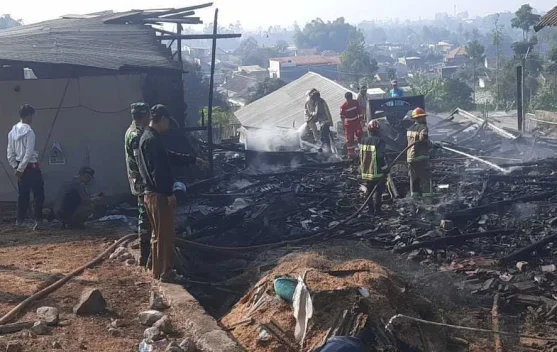 Ribuan Ekor Ayam Siap Panen di Samarang Garut Ludes Terbakar