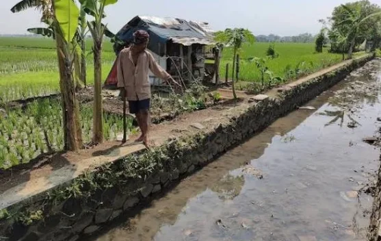 Bupati: Antisipasi Kekeringan, Pelayanan Dasar Warga Jadi Prioritas