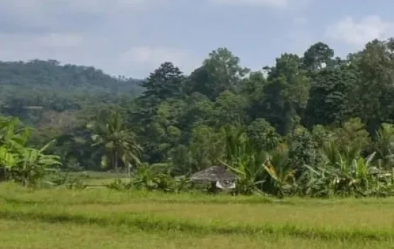 Harmoni Adat dan Alam di Kampung Kuta Ciamis