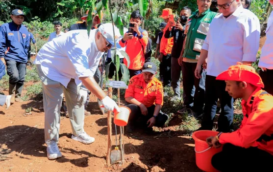 Pemkot Bandung Percepat Penghijauan Lewat Program Rindu Rindang