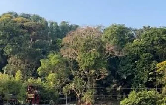 Situ Cipanten, Destinasi Wisata Menarik di Majalengka