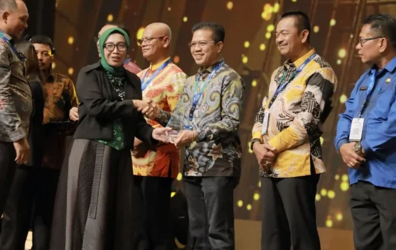 Bupati Goes International, Potensi Panas Bumi Kabupaten Bandung