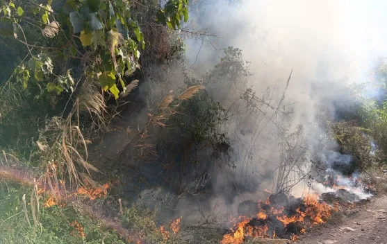Enam Titik Lokasi Hutan di Rancabango Garut Terbakar
