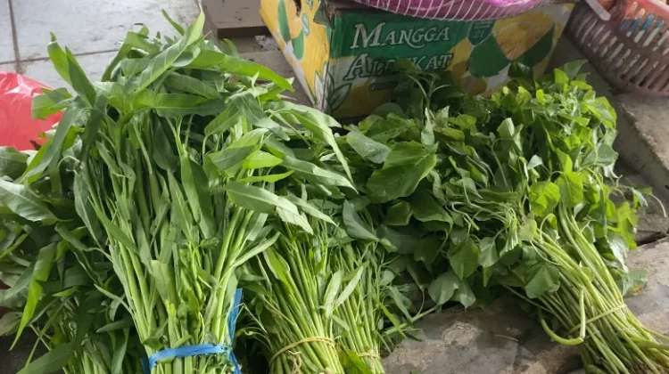 Sayuran Hijau di Pasar Pandu Naik jelang Ramadan