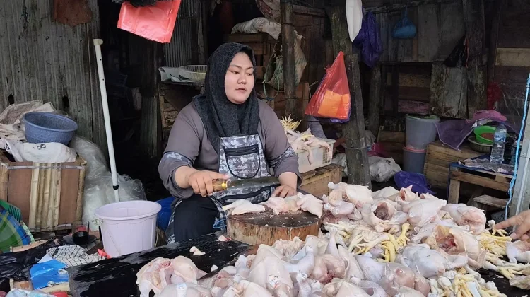 Menjelang Ramadan, Harga Ayam Ras Naik