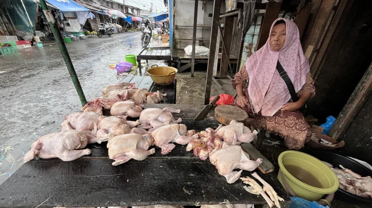 Awal Ramadan, Harga Daging Ayam di Banjarmasin Terus Naik