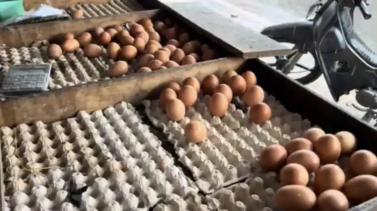 Harga Telur Naik Signifikan Dibarengi Stok yang Terbatas, Para Pedagang Mengeluh
