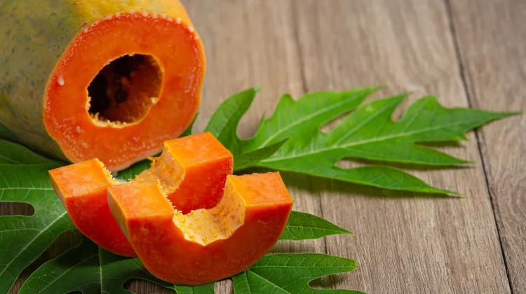 Manfaat Daun Pepaya Jepang untuk Kesehatan