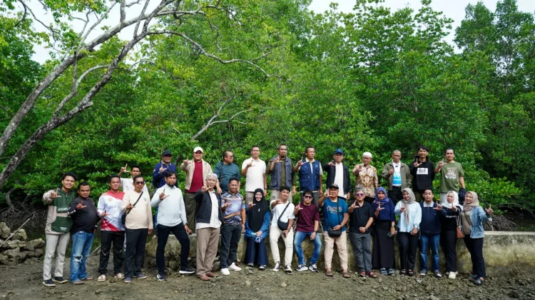 ULM Dorong Ekonomi Hijau lewat Budidaya Mangrove Kotabaru