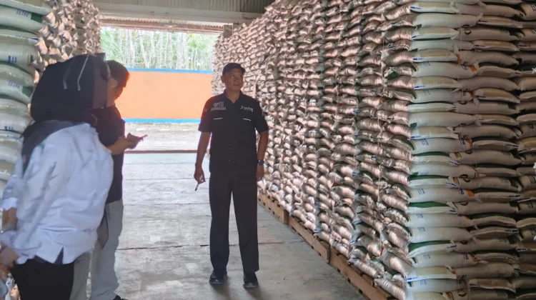 Stok Aman, Cadangan Pangan Balangan Mencukupi hingga Satu Tahun ke Depan
