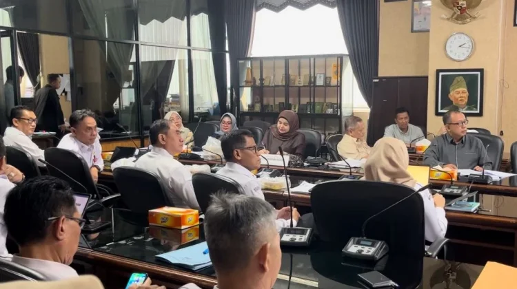 Komisi IV DPRD Kalsel Soroti Dana Pendampingan Kesehatan