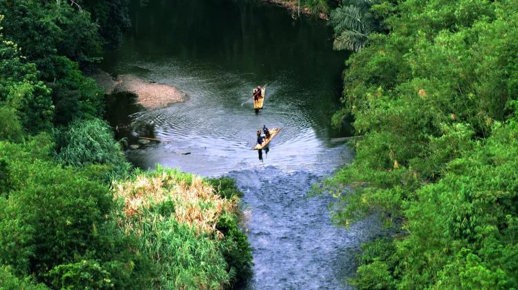 Hari Aksi Internasional untuk Sungai Diperingati 14 Maret