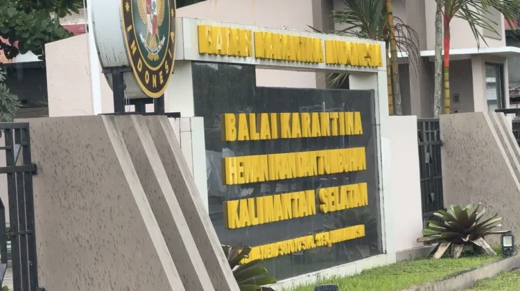 Sinergi Lintas Instansi Perkuat Pengawasan Karantina di Pelabuhan